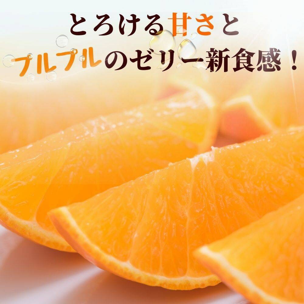 【ふるさと納税】愛果28号 紅まどんなと同一品種 みかん 愛媛県産 【選べる容量】 10玉（2L～3Lサイズ） 化粧箱入り 贈答用 5kg バラ詰め 先行予約 ＜12月以降順次発送予定＞ 数量限定 人気 柑橘 伊予市 サムネイル2