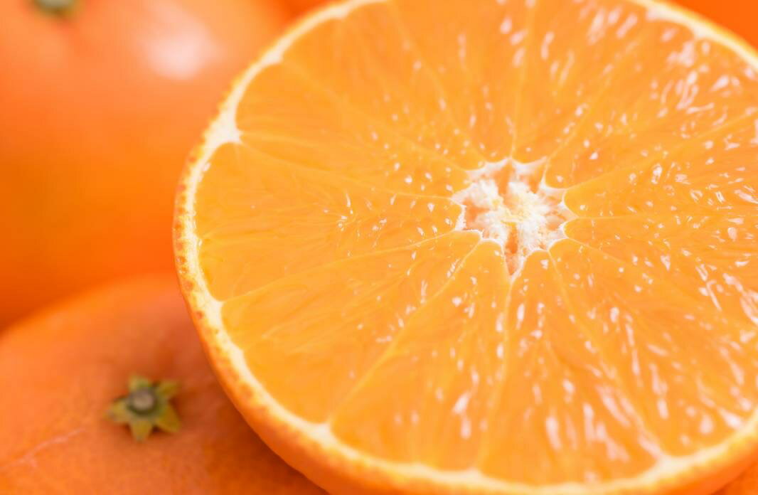 【ふるさと納税】せとか バラ詰め 5kg 先行予約 【2026年2月以降発送】 愛媛 数量限定 愛媛県産 人気 柑橘 伊予市｜C55 サムネイル2