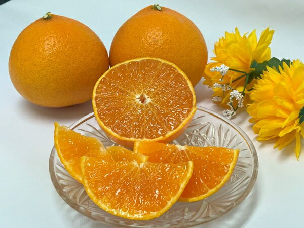 【ふるさと納税】【2026年3月発送予定】愛果48号【選べる容量】2kg 5kg 紅プリンセス同一品種 農園直送 みかん おすすめ 美味しい おいしい 国産 愛媛県産 人気 柑橘 数量限定 先行予約 柑橘 伊予市｜C93 サムネイル2