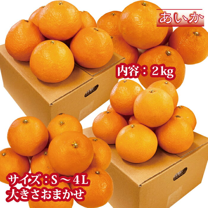 【ふるさと納税】訳あり 愛果28号 約2kg ご家庭用 みかん 愛媛 人気 サイズミックス 柑橘 伊予市【2025年12月上旬順次発送】｜B172 サムネイル3