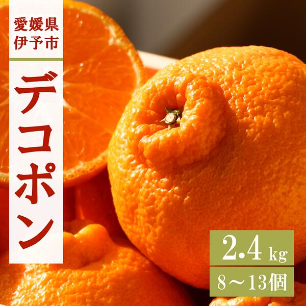 デコポン 2.4kg みかん 愛媛 【2026年3月上旬から順次発送予定】 人気 数量限定 先行予約 柑橘 伊予市｜B32