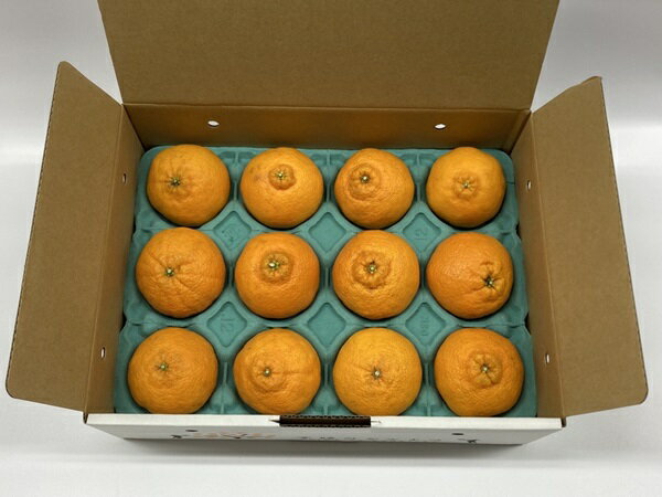 【ふるさと納税】デコポン 2.4kg みかん 愛媛 【2026年3月上旬から順次発送予定】 人気 数量限定 先行予約 柑橘 伊予市｜B32 サムネイル3