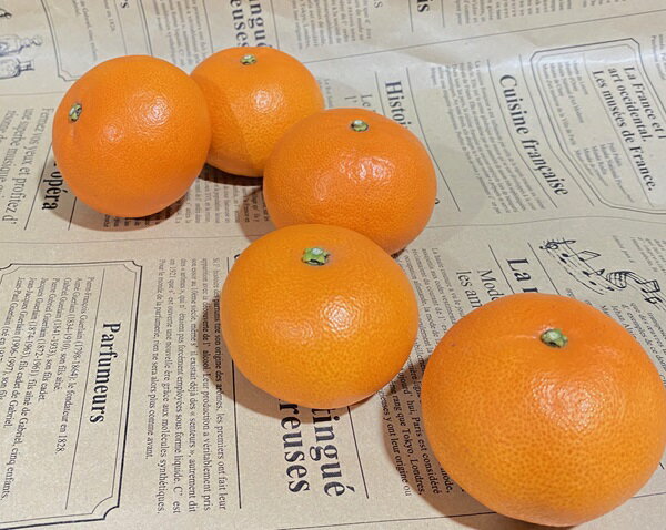 【ふるさと納税】みかん 愛媛 熟成せとか 特別栽培 樹上完熟 貯蔵熟成 【選べる容量】 S・M・Lサイズ 9～12玉 数量限定 先行予約 ＜2026年4月以降順次発送予定＞ 人気 柑橘 フルーツ 国産 愛媛県産 みかんのおと 伊予市 サムネイル2