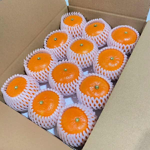 【ふるさと納税】みかん 愛媛 熟成せとか 特別栽培 樹上完熟 貯蔵熟成 【選べる容量】 S・M・Lサイズ 9～12玉 数量限定 先行予約 ＜2026年4月以降順次発送予定＞ 人気 柑橘 フルーツ 国産 愛媛県産 みかんのおと 伊予市 サムネイル3