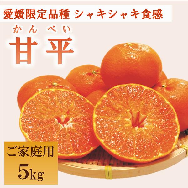 みかん 愛媛 甘平（約5kg）家庭用 L～3Lサイズ 人気 数量限定 先行予約 柑橘 伊予市｜C51