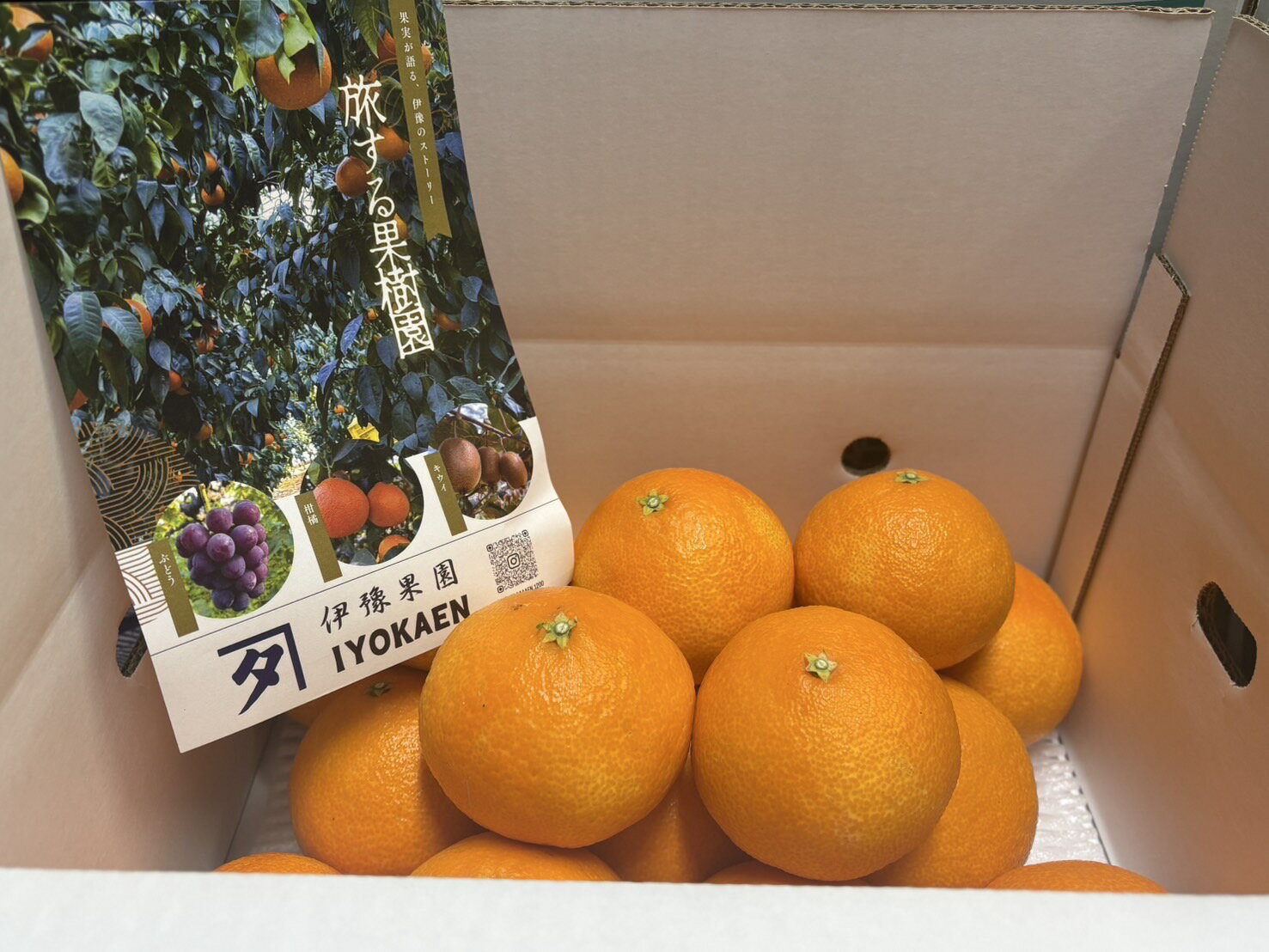 【ふるさと納税】みかん 愛果28号 サイズミックス 約5kg ご家庭用 【11月下旬から順次発送予定】 紅まどんなと同一品種 愛媛 人気 柑橘 国産 フルーツ 伊豫果園 伊予市｜C107 サムネイル3