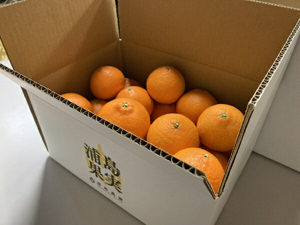 【ふるさと納税】訳あり 愛果28号 5kg サイズミックス 【2025年12月以降発送】 紅まどんなと同一品種 みかん 愛媛 数量限定 先行予約 柑橘 伊予市｜B220 サムネイル2