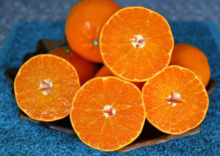 【ふるさと納税】せとか みかん 愛媛 12玉 贈答用 人気 数量限定 先行予約 【2026年2月上旬以降発送】 柑橘 愛媛県産 伊予市｜C130 サムネイル3