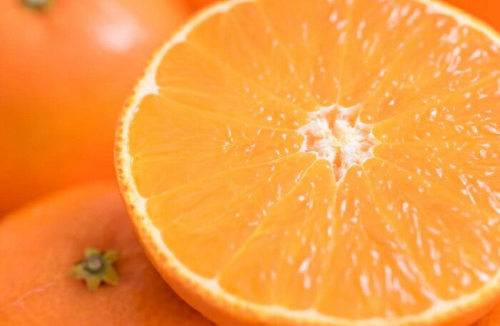 【ふるさと納税】せとか みかん 愛媛 12玉 贈答用 人気 数量限定 先行予約 【2026年2月上旬以降発送】 柑橘 愛媛県産 伊予市｜C130 サムネイル2