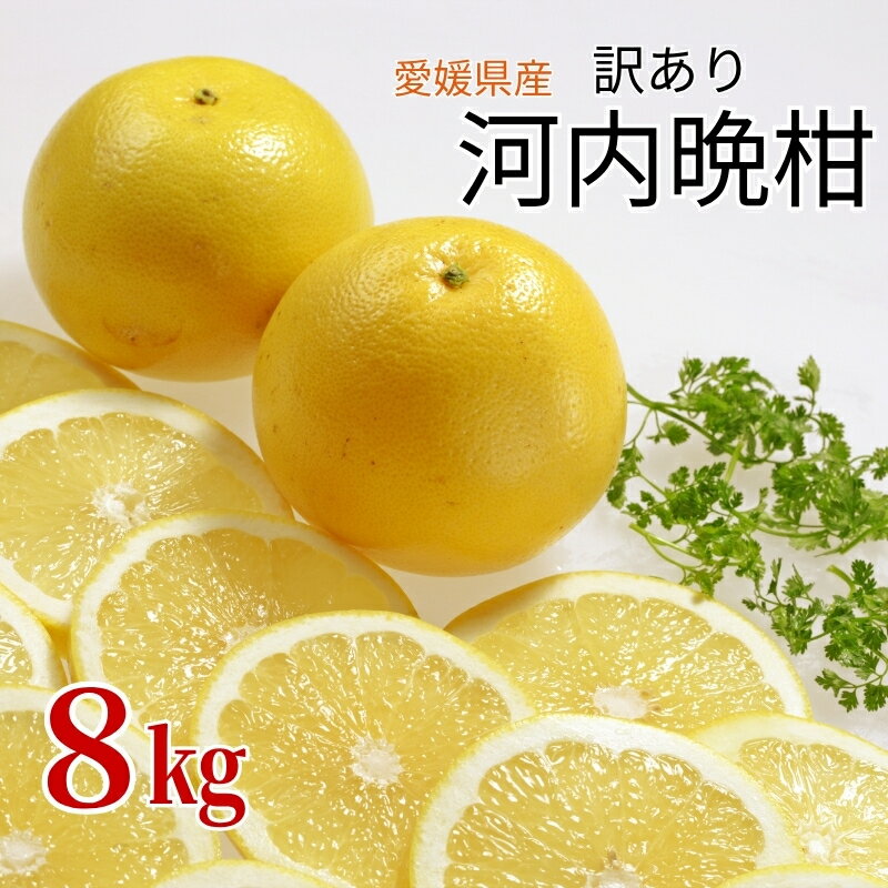訳あり 河内晩柑 8kg ご家庭用 人気 【2026年4月以降順次発送】かわちばんかん 数量限定 先行予約 さっぱりした甘味 みかん 柑橘 蜜柑 くだもの フルーツ 国産 愛媛 伊予市｜B150