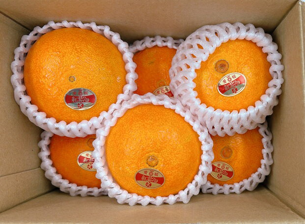 【ふるさと納税】紅まどんな 愛媛 Lサイズ 6個 みかん 人気 数量限定 柑橘 伊予市【2025年11月下旬順次発送】｜B450 サムネイル3