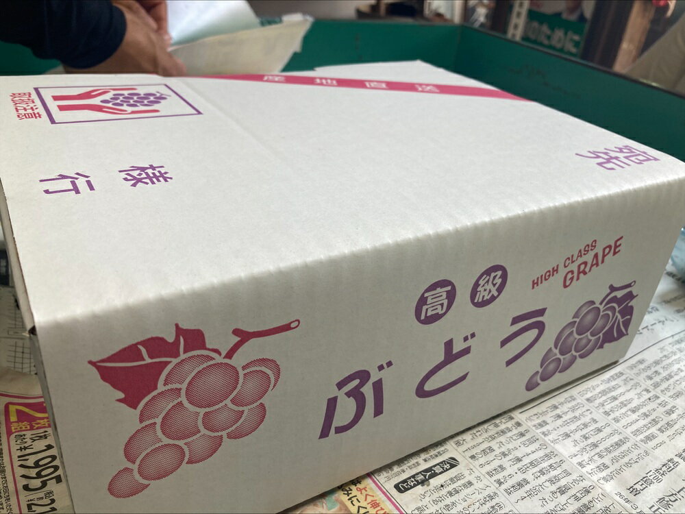 【ふるさと納税】種なし巨峰 約2kg 【2026年先行予約・2026年8月から順次発送予定】 ぶどう 葡萄 果物 愛媛 人気 伊豫果園 伊予市｜B389 サムネイル3