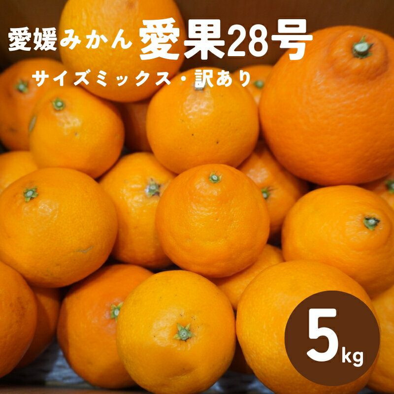 訳あり 愛果28号 5kg サイズミックス 【2025年12月以降発送】 紅まどんなと同一品種 みかん 愛媛 数量限定 先行予約 柑橘 伊予市｜B220