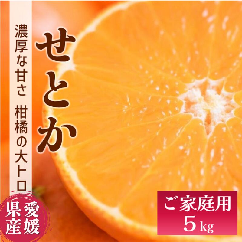 せとか バラ詰め 5kg 先行予約 【2026年2月以降発送】 愛媛 数量限定 愛媛県産 人気 柑橘 伊予市｜C55