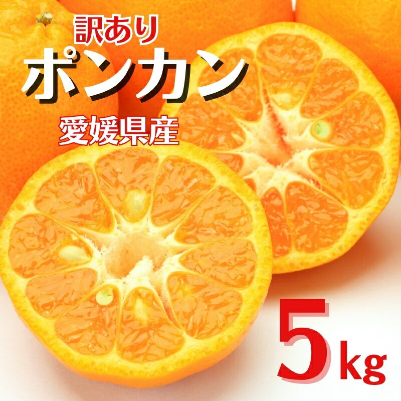 訳あり ポンカン 5kg ご家庭用 みかん 人気 数量限定 先行予約 柑橘 伊予市 【2026年1月中旬以降順次発送】｜B147