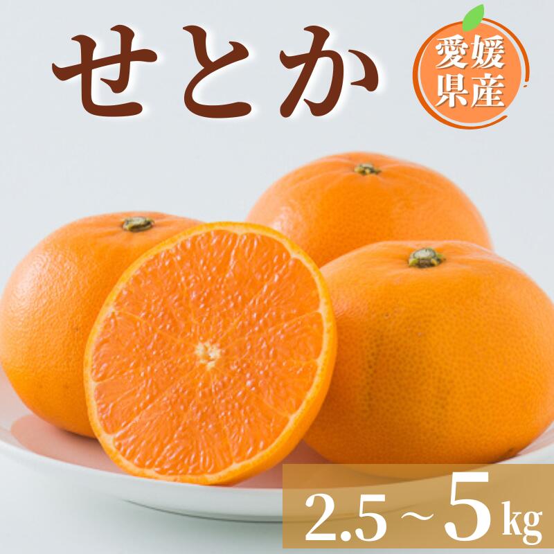 みかん 愛媛 せとか L～3Lサイズ 【選べる容量】 約2.5kg 約5kg バラ詰め ご家庭用 ＜2026年2月中旬から順次発送予定＞ 先行予約 数量限定 人気 柑橘 フルーツ 国産 愛媛県産 伊予市