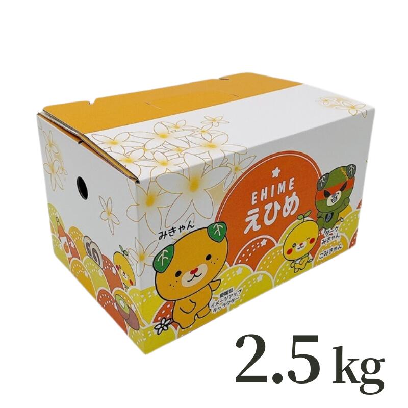 【ふるさと納税】みかん 愛媛 せとか L～3Lサイズ 【選べる容量】 約2.5kg 約5kg バラ詰め ご家庭用 ＜2026年2月中旬から順次発送予定＞ 先行予約 数量限定 人気 柑橘 フルーツ 国産 愛媛県産 伊予市 サムネイル3