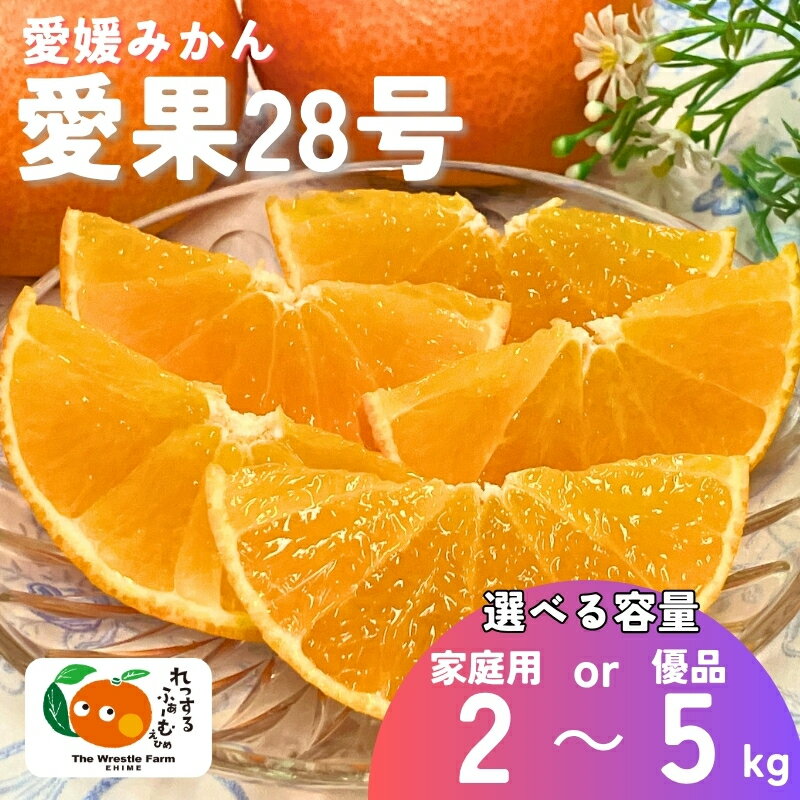 愛果28号 紅まどんなと同一品種 みかん 愛媛県産 【選べる容量】 2kg 3kg 5kg 訳あり ご家庭用 優品 贈答用 先行予約 ＜12月中旬から順次発送予定＞ レッスルファーム 数量限定 おすすめ 美味しい おいしい グルメ フルーツ くだもの 人気 柑橘 伊予市