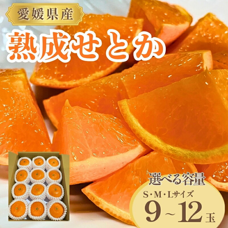 みかん 愛媛 熟成せとか 特別栽培 樹上完熟 貯蔵熟成 【選べる容量】 S・M・Lサイズ 9～12玉 数量限定 先行予約 ＜2026年4月以降順次発送予定＞ 人気 柑橘 フルーツ 国産 愛媛県産 みかんのおと 伊予市