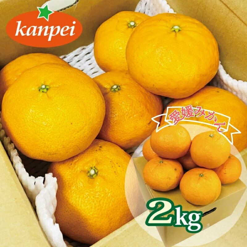 訳あり 甘平 家庭用 みかん 愛媛 約2kg 人気 サイズミックス 柑橘 伊予市｜B234