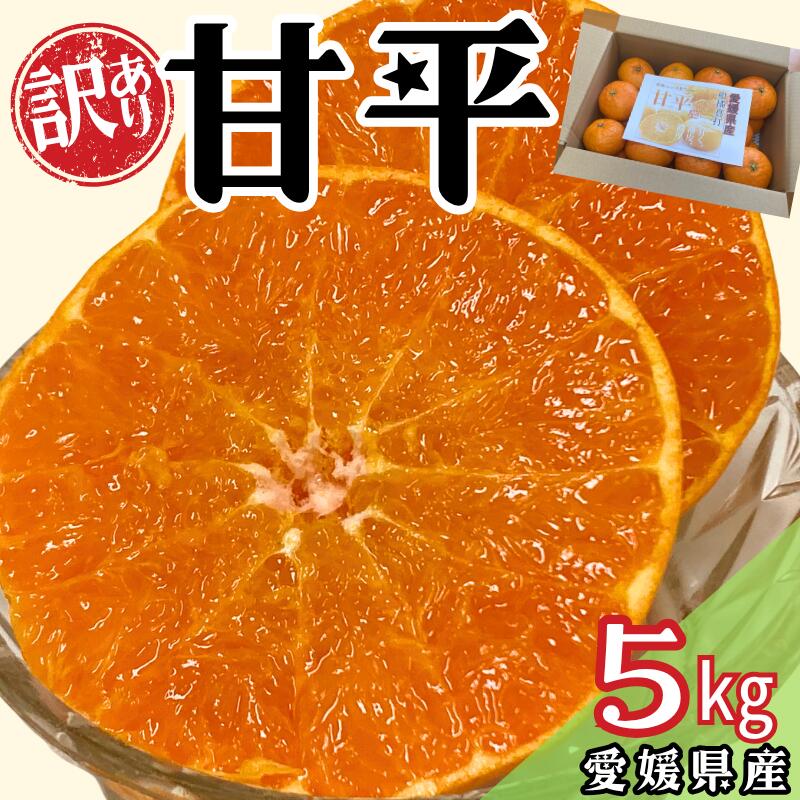 訳あり 甘平 5kg ご家庭用 人気 数量限定 先行予約 みかん 愛媛 柑橘 【2026年1月下旬以降順次発送】 | B151