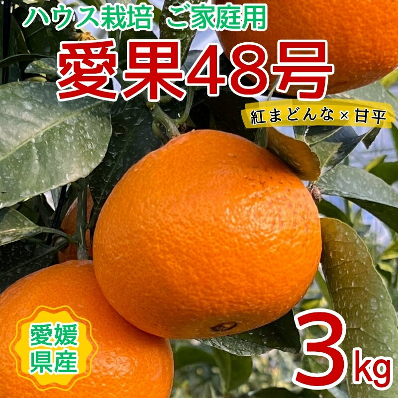 【2026年3月発送予定】訳あり 愛果48号 3kgご家庭用 農園直送 みかん 愛媛 人気 数量限定 先行予約 柑橘 伊予市｜B444