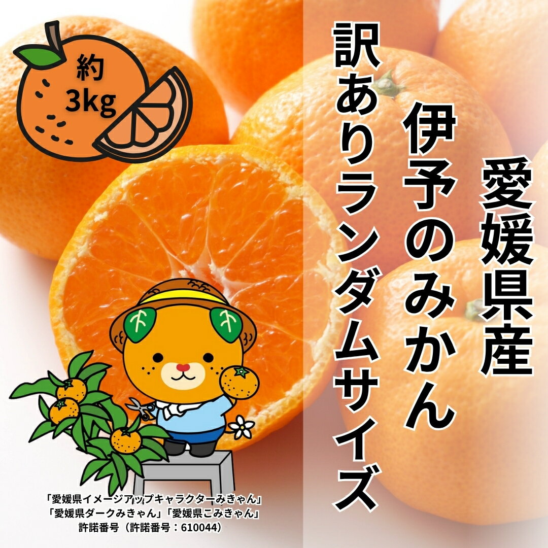訳あり 伊予のみかん 約3kg サイズミックス ランダム 【2025年11月下旬から順次発送予定】 みかん 愛媛県産 数量限定 先行予約 柑橘 伊予市｜B505