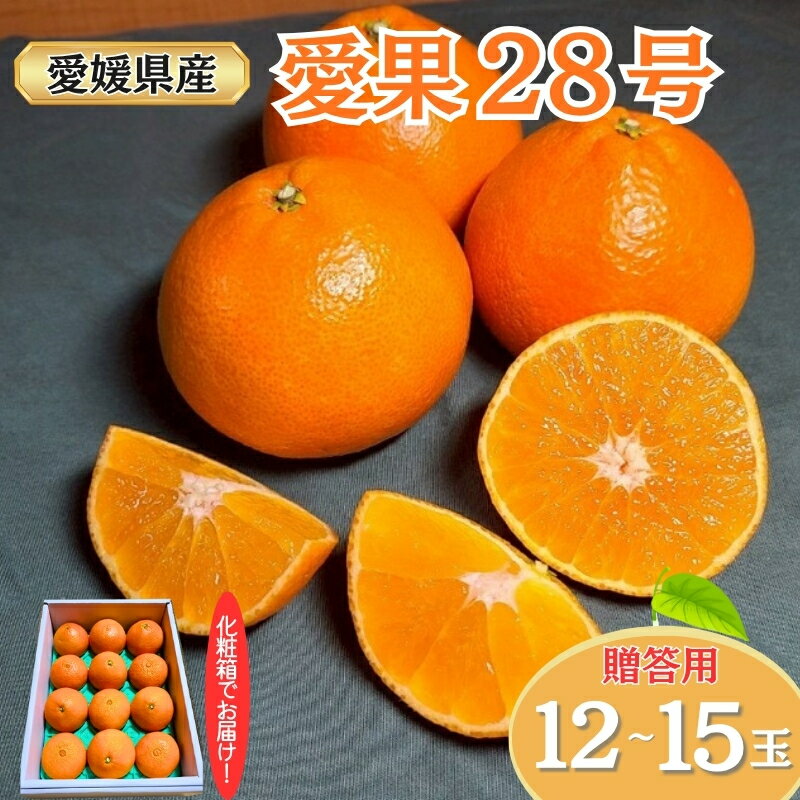 みかん 愛果28号 贈答用 L～2L 12～15玉 紅まどんなと同一品種 【2025年12月から順次発送】 先行予約 数量限定 柑橘 人気 伊予侍ファーム 愛媛 伊予市｜C138