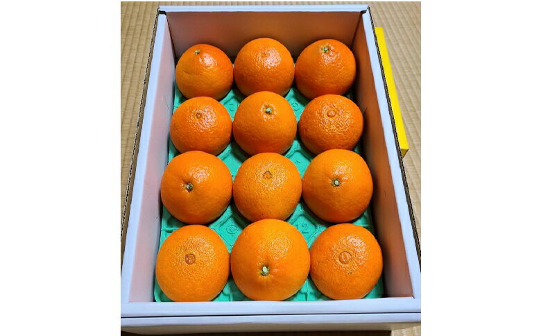 【ふるさと納税】みかん 愛果28号 贈答用 L～2L 12～15玉 紅まどんなと同一品種 【2025年12月から順次発送】 先行予約 数量限定 柑橘 人気 伊予侍ファーム 愛媛 伊予市｜C138 サムネイル3