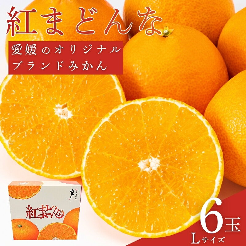 紅まどんな 愛媛 Lサイズ 6個 みかん 人気 数量限定 柑橘 伊予市【2025年11月下旬順次発送】｜B450