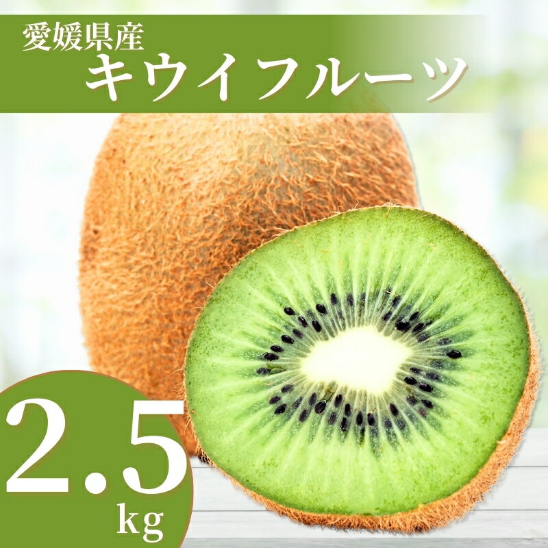 キウイ 2.5kg 愛媛 国産キウイフルーツ ヘイワード 先行予約 【2026年11月から順次発送予定】 数量限定 伊予市｜A20