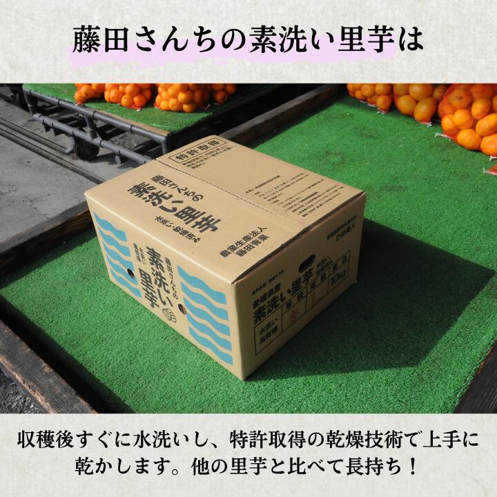 【ふるさと納税】里芋 さといも 芋 いも 5kg 10kg 女早生 新鮮 柔らかい やわらかい もっちり あまい 四国中央市産 送料無料 - 画像3