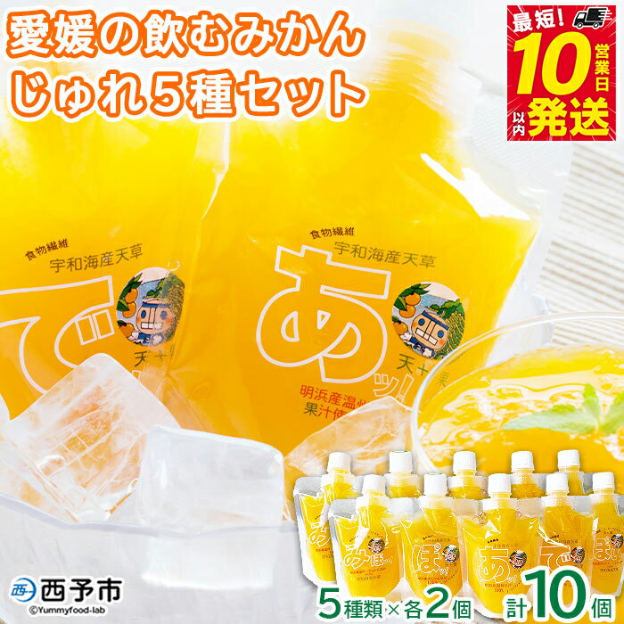 ＜愛媛の飲むみかんじゅれ 5種セット 計10個(5種類×各2個)＞ 飲むゼリー 果物 温州みかん 伊予柑 デザート スイーツ あけはまシーサイドサンパーク 贈答用 愛媛県西予市【常温】『最短10営業日以内に順次発送予定』