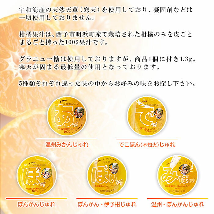 【ふるさと納税】＜愛媛の飲むみかんじゅれ 5種セット 計10個(5種類×各2個)＞ 飲むゼリー 果物 温州みかん 伊予柑 デザート スイーツ あけはまシーサイドサンパーク 贈答用 愛媛県西予市【常温】『最短10営業日以内に順次発送予定』 - 画像3