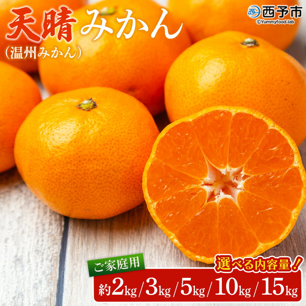 先行予約＜愛媛県明浜産 天晴みかん（温州みかん）約2kg／3kg／5kg／10kg／15kg＞ 家庭用 訳あり ワケアリ 自宅用 果物 くだもの フルーツ ミカン 柑橘 特産品 産地直送 笑丸 愛媛県 西予市【常温】『2025年11月中旬～2026年1月上旬迄に順次出荷予定』