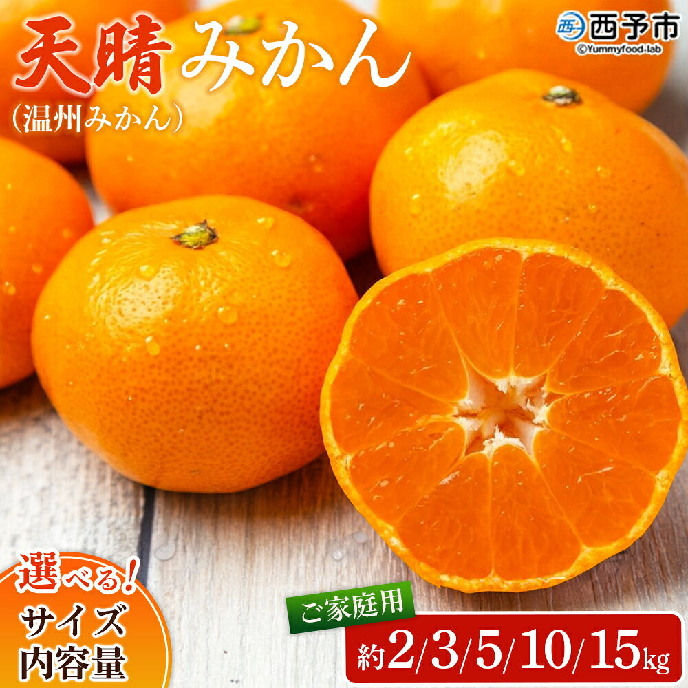 先行予約＜天晴みかん（温州みかん）約2kg／3kg／5kg／10kg／15kg・小玉サイズ/S〜L混合＞ 家庭用 訳あり 明浜産 選べる 果物 くだもの フルーツ ミカン 柑橘 特産品 笑丸 愛媛県 西予市【常温】『2026年11月中旬〜2027年1月上旬迄に順次出荷』