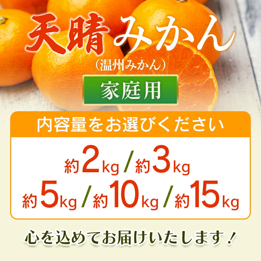 【ふるさと納税】先行予約＜愛媛県明浜産 天晴みかん（温州みかん）約2kg／3kg／5kg／10kg／15kg＞ 家庭用 訳あり ワケアリ 自宅用 果物 くだもの フルーツ ミカン 柑橘 特産品 産地直送 笑丸 愛媛県 西予市【常温】『2025年11月中旬～2026年1月上旬迄に順次出荷予定』 サムネイル3