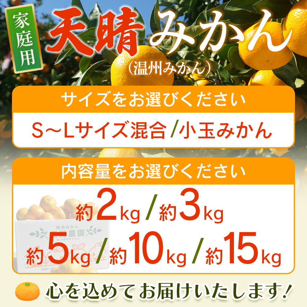 【ふるさと納税】先行予約＜天晴みかん（温州みかん）約2kg／3kg／5kg／10kg／15kg・小玉サイズ/S〜L混合＞ 家庭用 訳あり 明浜産 選べる 果物 くだもの フルーツ ミカン 柑橘 特産品 笑丸 愛媛県 西予市【常温】『2026年11月中旬〜2027年1月上旬迄に順次出荷』 - 画像3