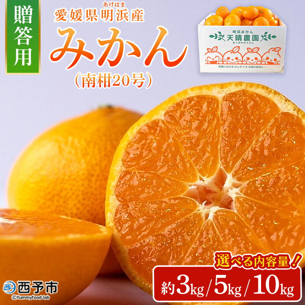 ＜みかん（南柑20号）贈答用 約3kg 5kg 10kg＞ 果物 くだもの フルーツ ミカン 柑橘 温州みかん うんしゅうみかん 贈答 ギフト プレゼント 特産品 株式会社笑丸 愛媛県 西予市【常温】『2025年12月上旬～2026年1月上旬迄に順次出荷予定』