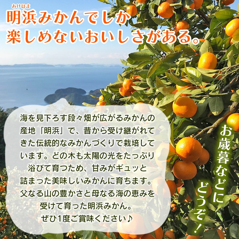 【ふるさと納税】＜みかん（南柑20号）贈答用 約3kg 5kg 10kg＞ 果物 くだもの フルーツ ミカン 柑橘 温州みかん うんしゅうみかん 贈答 ギフト プレゼント 特産品 株式会社笑丸 愛媛県 西予市【常温】『2025年12月上旬～2026年1月上旬迄に順次出荷予定』 サムネイル2