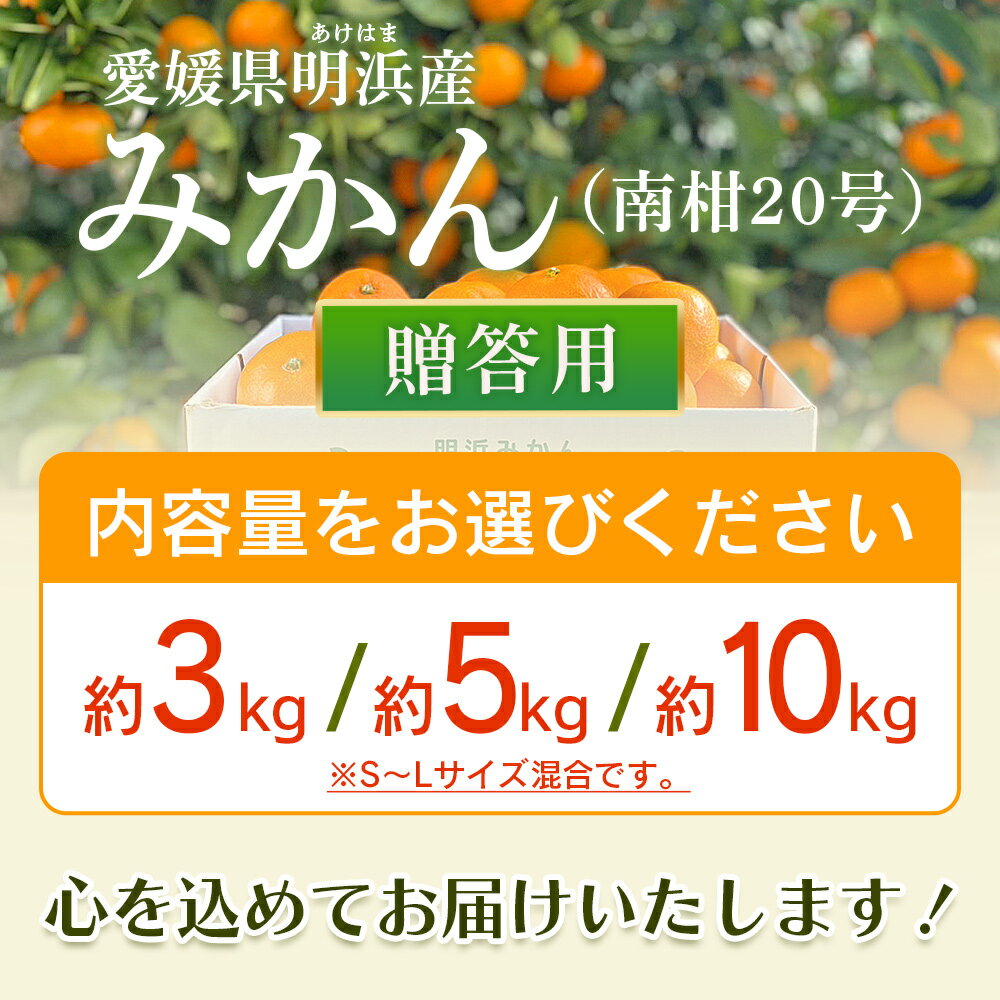 【ふるさと納税】＜みかん（南柑20号）贈答用 約3kg 5kg 10kg＞ 果物 くだもの フルーツ ミカン 柑橘 温州みかん うんしゅうみかん 贈答 ギフト プレゼント 特産品 株式会社笑丸 愛媛県 西予市【常温】『2025年12月上旬～2026年1月上旬迄に順次出荷予定』 サムネイル3