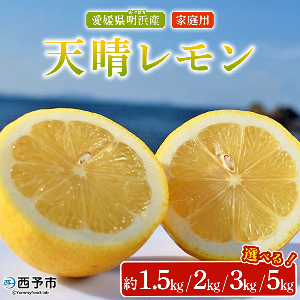 ＜天晴レモン ご家庭用 約1.5kg/2kg/3kg/5kg＞ フルーツ 果物 くだもの レモン れもん 檸檬 柑橘 訳あり わけあり ワケアリ 自宅用 料理 国産 国産レモン 愛媛県産 特産品 株式会社笑丸 愛媛県 西予市【常温】『2025年12月～2026年1月に順次出荷予定』