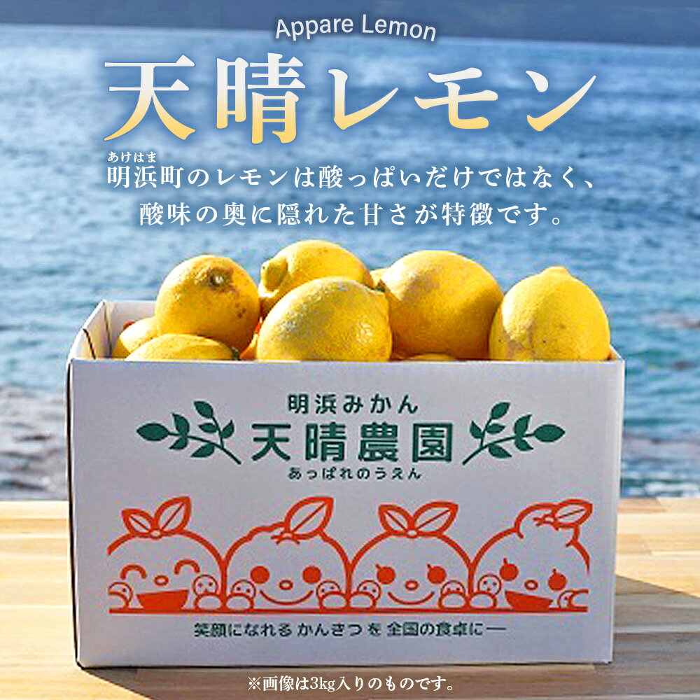 【ふるさと納税】＜天晴レモン ご家庭用 約1.5kg/2kg/3kg/5kg＞ フルーツ 果物 くだもの レモン れもん 檸檬 柑橘 訳あり わけあり ワケアリ 自宅用 料理 国産 国産レモン 愛媛県産 特産品 株式会社笑丸 愛媛県 西予市【常温】『2025年12月～2026年1月に順次出荷予定』 サムネイル2