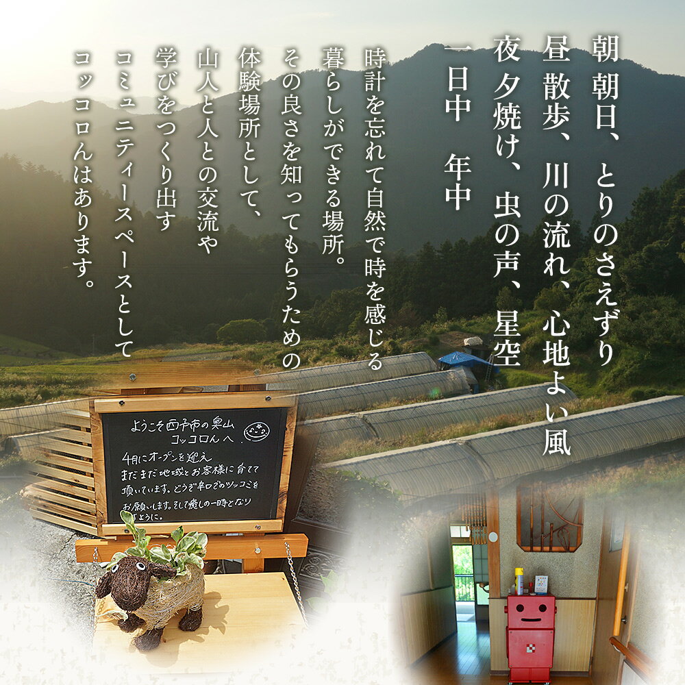 【ふるさと納税】＜大自然を感じるコッコロんの一棟貸しプラン(1泊)＞ ゲストハウス げすとはうす 古民家 宿 泊まり 宿泊 利用券 旅行 トラベル 1泊 犬同伴 愛犬 リラックス リノベーション アウトドア BBQ バーベキュー ピザ体験 遊子川ゲストハウス 愛媛県 西予市 - 画像3