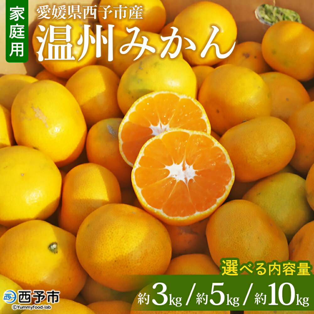 ＜愛媛県西予市産 温州みかん 家庭用 約3kg／5kg／10kg ＞ 果物 くだもの うんしゅうみかん ウンシュウミカン ミカン 蜜柑 柑橘 フルーツ 自宅用 訳あり 旬 特産品 産地直送 段畑みかん 愛媛県 西予市【常温】『2025年10月中旬～11月中旬迄に順次出荷予定』