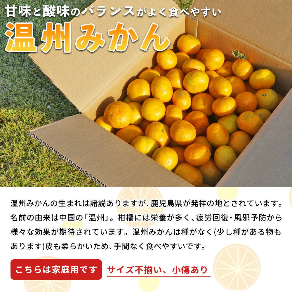 【ふるさと納税】＜愛媛県西予市産 温州みかん 家庭用 約3kg／5kg／10kg ＞ 果物 くだもの うんしゅうみかん ウンシュウミカン ミカン 蜜柑 柑橘 フルーツ 自宅用 訳あり 旬 特産品 産地直送 段畑みかん 愛媛県 西予市【常温】『2025年10月中旬～11月中旬迄に順次出荷予定』 サムネイル2