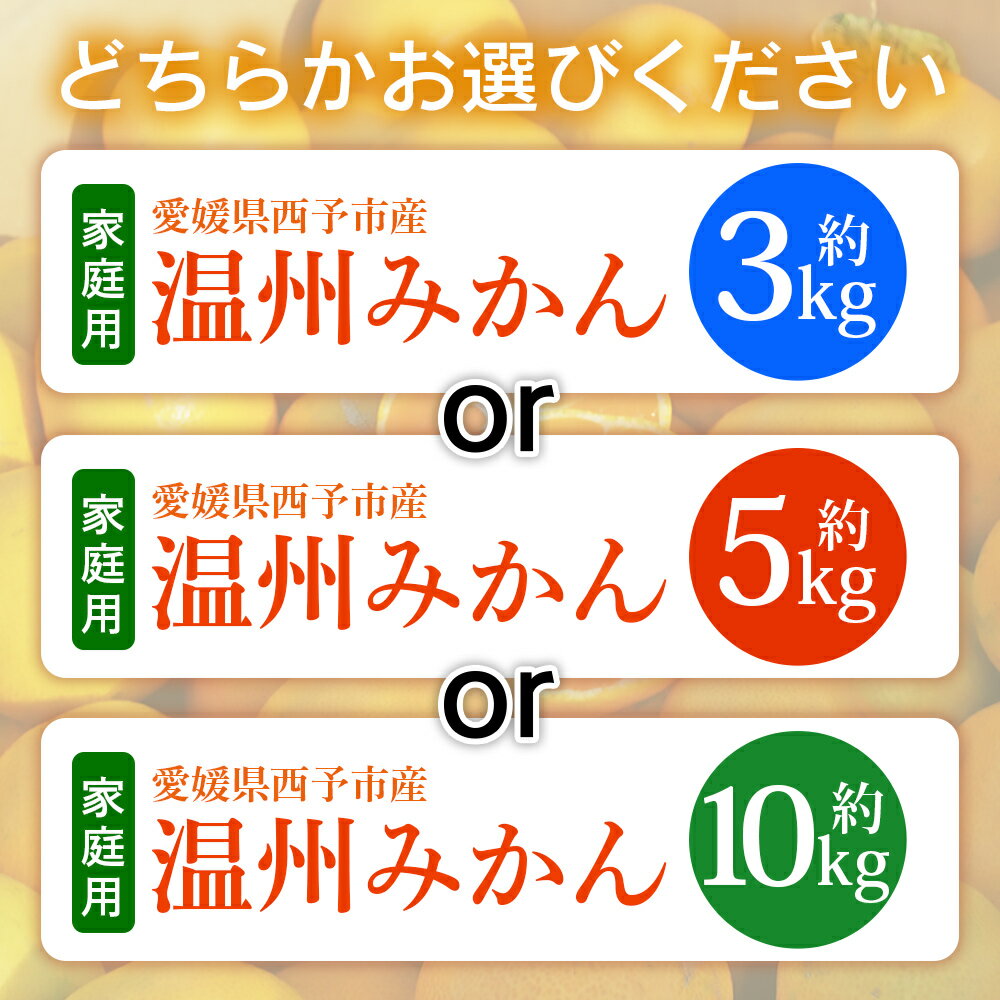 【ふるさと納税】＜愛媛県西予市産 温州みかん 家庭用 約3kg／5kg／10kg ＞ 果物 くだもの うんしゅうみかん ウンシュウミカン ミカン 蜜柑 柑橘 フルーツ 自宅用 訳あり 旬 特産品 産地直送 段畑みかん 愛媛県 西予市【常温】『2025年10月中旬～11月中旬迄に順次出荷予定』 サムネイル3