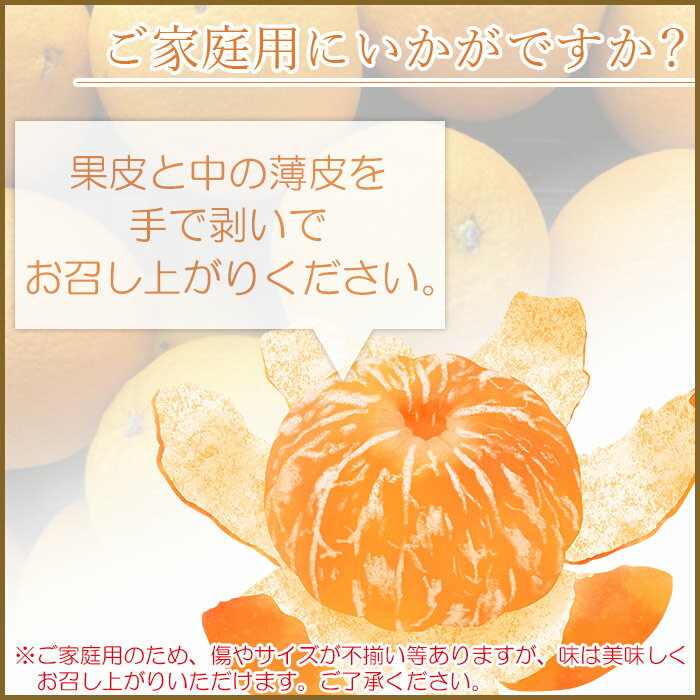 【ふるさと納税】＜愛媛県西予市産 伊予柑 家庭用 約8kg＞ 訳あり ワケアリ 自宅用 果物 くだもの ミカン 柑橘 フルーツ いよかん イヨカン 特産品 産地直送 段畑みかん 愛媛県 西予市【常温】『2026年1月上旬～1月末迄に順次出荷予定』 サムネイル3