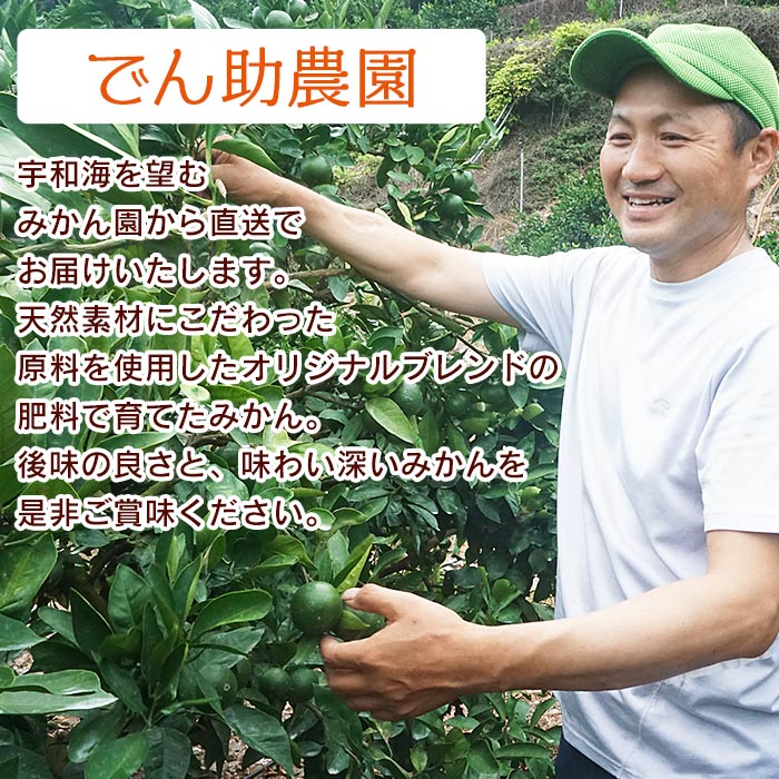 【ふるさと納税】＜でん助農園の温州みかん 南柑20号 約10kg（家庭用）＞ 果物 フルーツ ミカン オレンジ 柑橘類 うんしゅうみかん 南柑20号 中生 自宅用 国産 特産品 食べて応援 産地直送 西宇和産 愛媛県 西予市【常温】『2025年12月中旬～2026年1月下旬迄に順次出荷予定』 サムネイル3