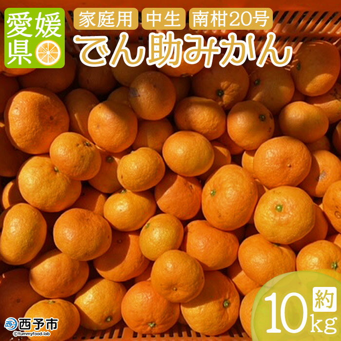 ＜でん助農園の温州みかん 南柑20号 約10kg（家庭用）＞ 果物 フルーツ ミカン オレンジ 柑橘類 うんしゅうみかん 南柑20号 中生 自宅用 国産 特産品 食べて応援 産地直送 西宇和産 愛媛県 西予市【常温】『2025年12月中旬～2026年1月下旬迄に順次出荷予定』